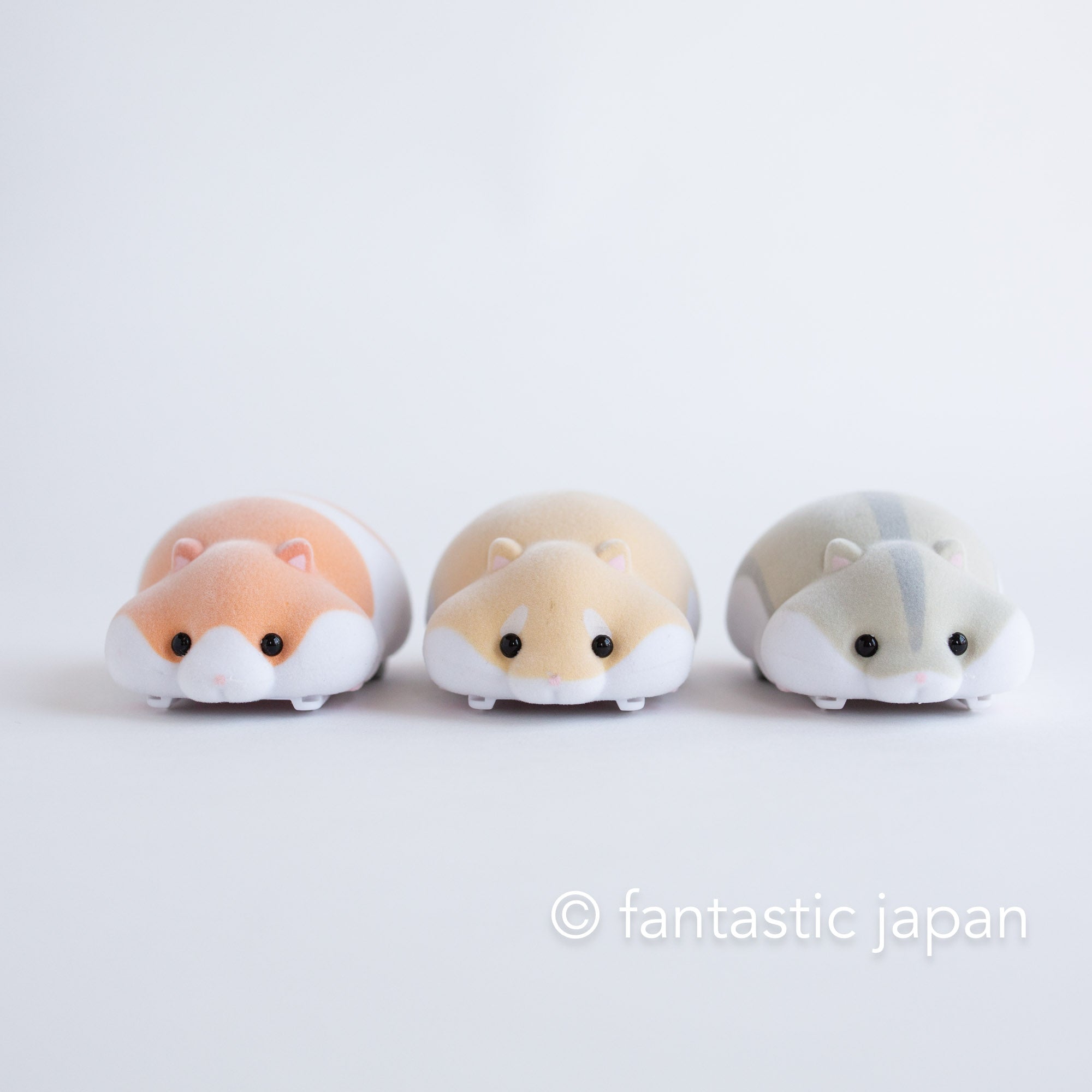 mogu.stone743さん1-19-7 mogu mogu zoo – Fantastic Japan