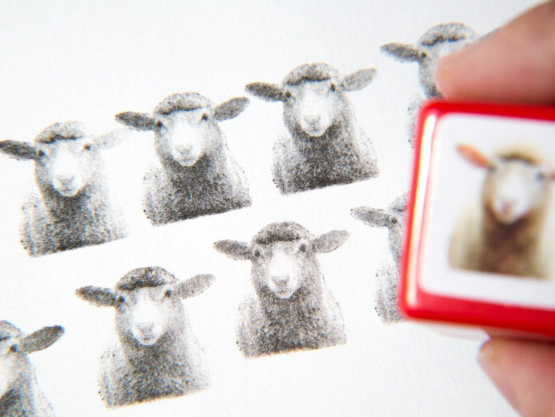 Real photo stamp -Sheep-