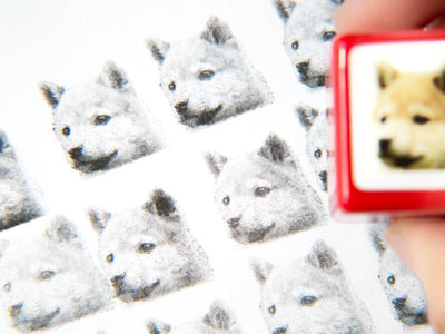Real photo stamp -Shiba dog "Taro"-