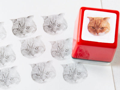 Real photo stamp -Scottish Fold Cat  "Kyoko"-