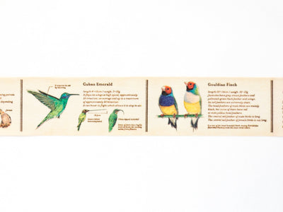 mt washi tape Ex -Encyclopedia of birds-