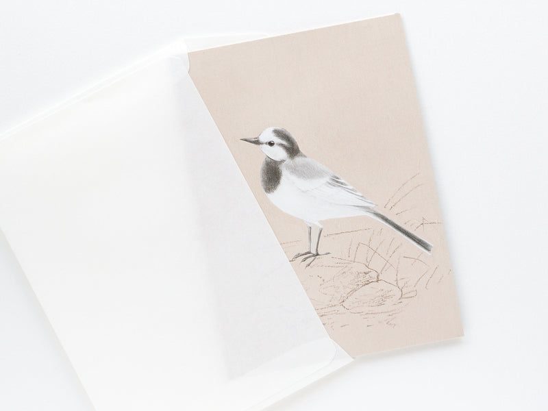 Pop-up card - Tobidustry, White Wagtail-