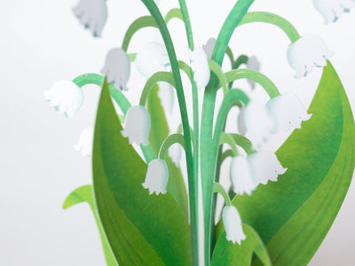 Birthday Blooming card -Lily of the valley-