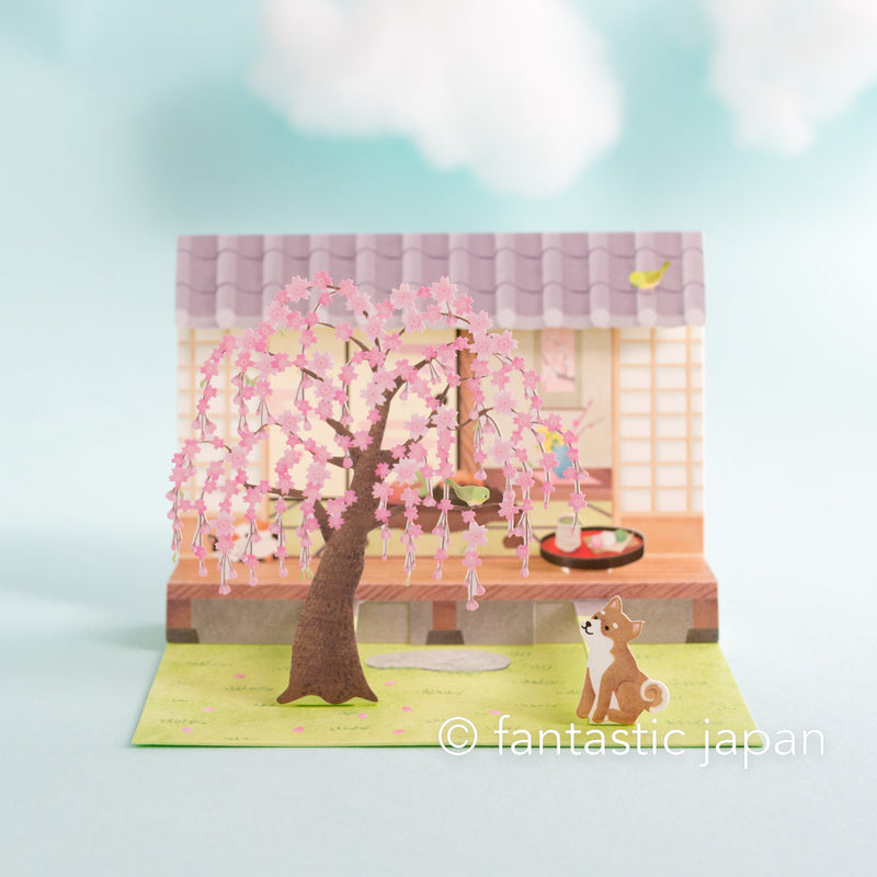 Greeting card  -Shiba dog in Japanese spring-