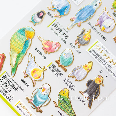 Gold foil visual collection sticker -Parakeet Gestures-