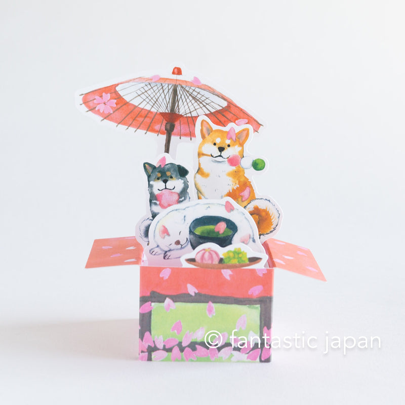 Box Greeting Card -Shibaken enjoying Japanese spring- / designed by Natsuka Murata