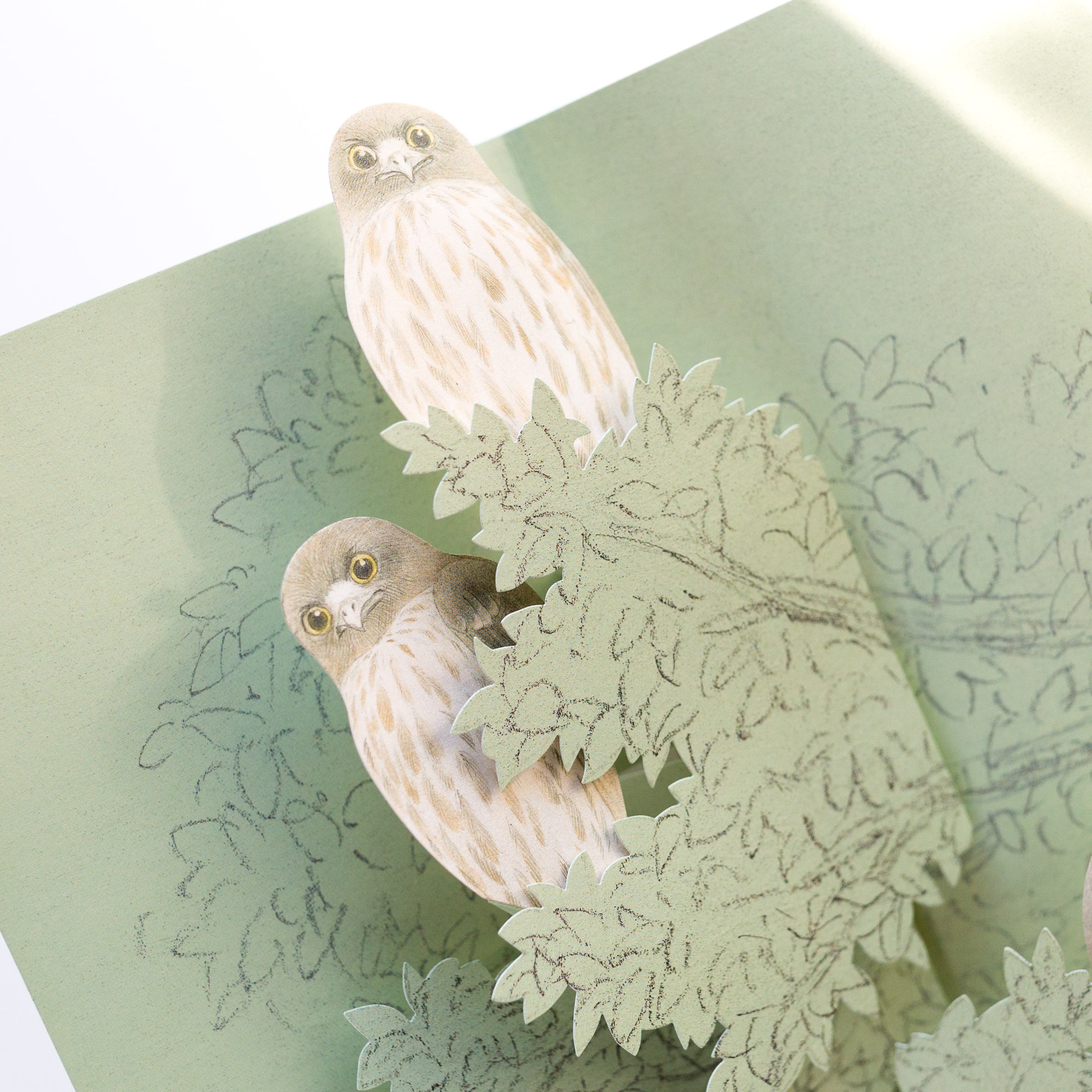bird collection – Fantastic Japan