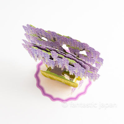 Greeting card -Cat on wisteria bonsai-