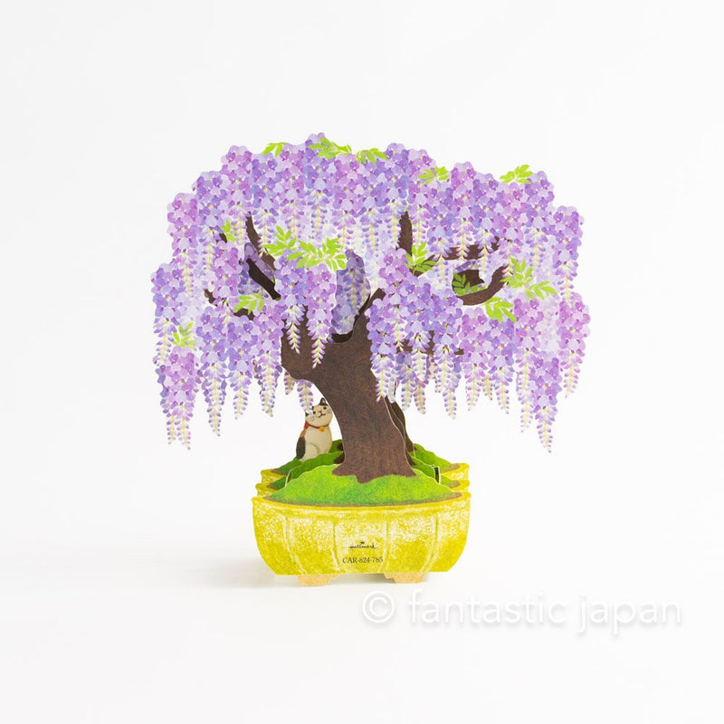 Greeting card -Cat on wisteria bonsai-