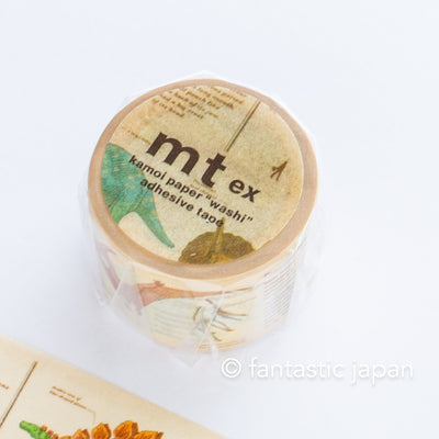 mt washi tape Ex / Encyclopedia of dinosaur / MTEX1P224