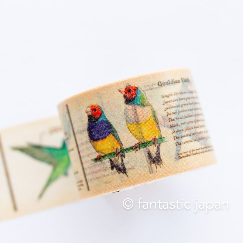 mt washi tape Ex / Encyclopedia of bird / MTEX1P90R