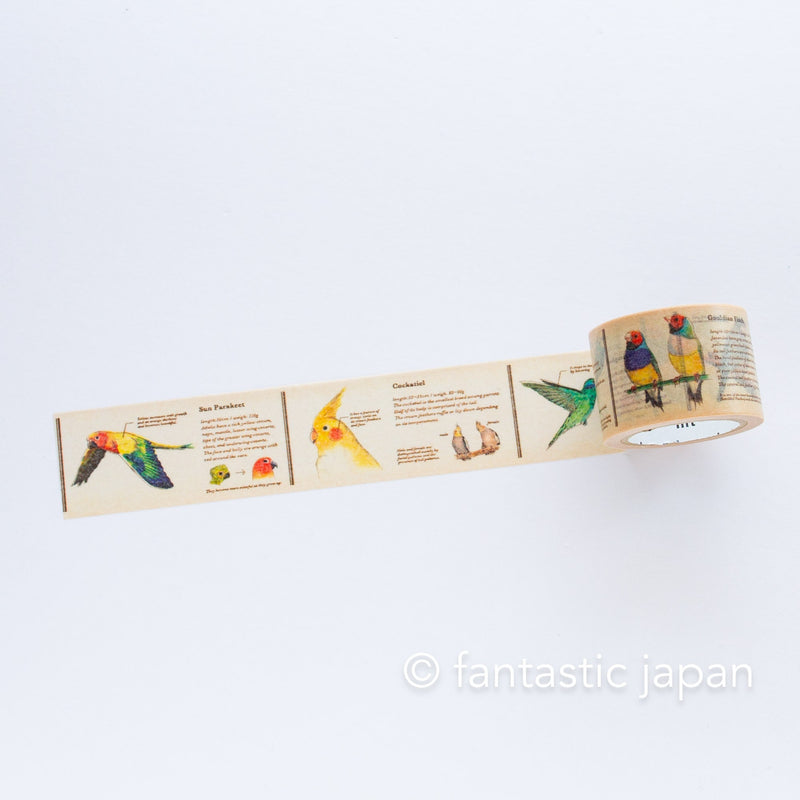 mt washi tape Ex / Encyclopedia of bird / MTEX1P90R