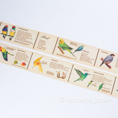 mt washi tape Ex / Encyclopedia of bird / MTEX1P90R