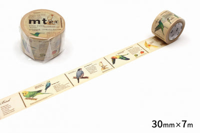 mt washi tape Ex / Encyclopedia of bird / MTEX1P90R