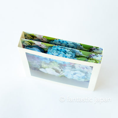 Greeting card -Hydrangea in the clear BOX-