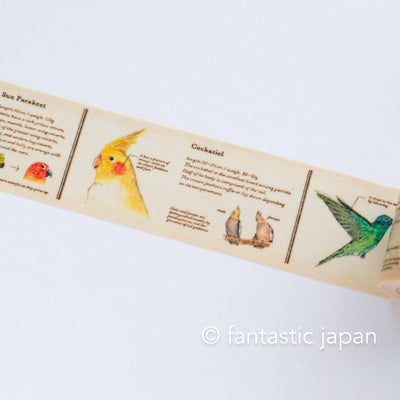 mt washi tape Ex / Encyclopedia of bird / MTEX1P90R