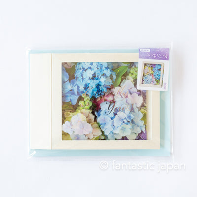 Greeting card -Hydrangea in the clear BOX-