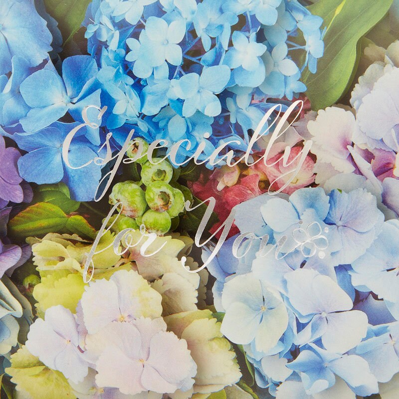 Greeting card -Hydrangea in the clear BOX-