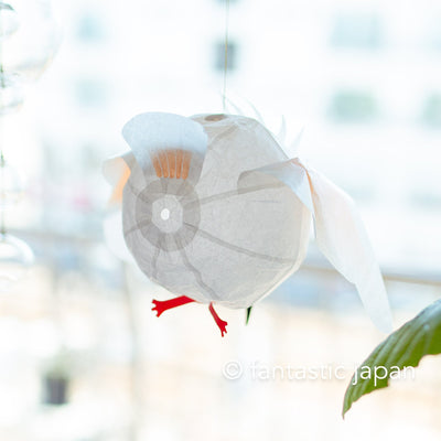 Japanese Paper Balloon -Nipponia nippon-