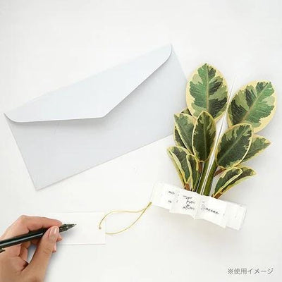 Greeting card/ Blooming card -ficus altissima-