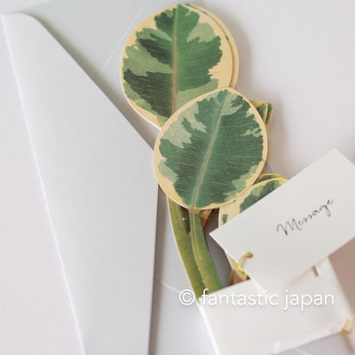 Greeting card/ Blooming card -ficus altissima-