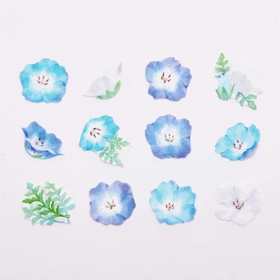 bande sticker -Baby blue eyes-