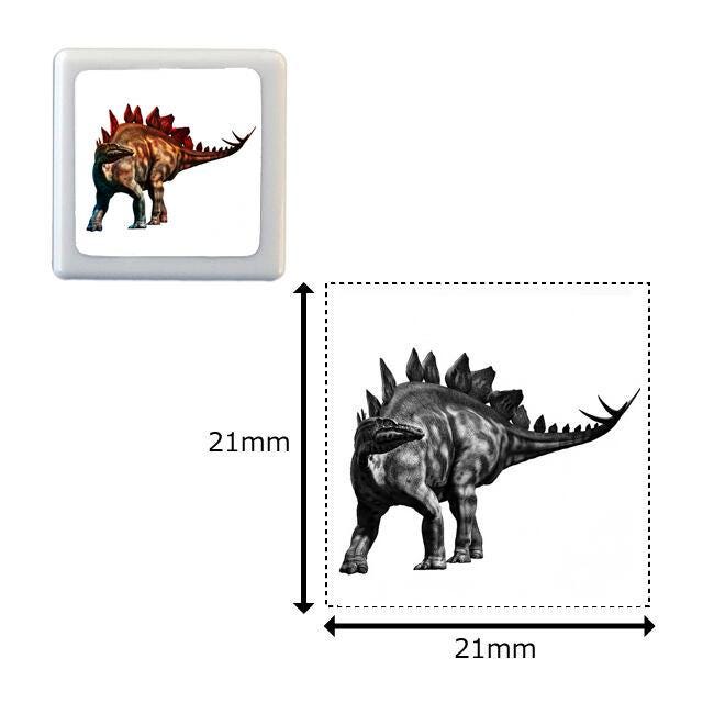 Photograph stamp / dinosaur -stegosaurus-