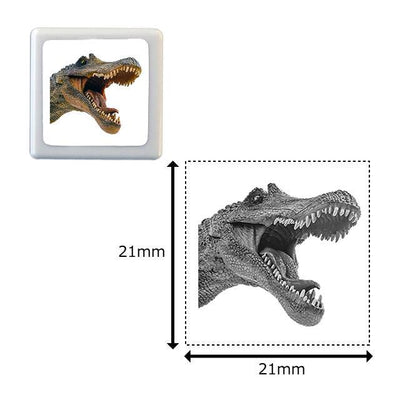 Photograph stamp / dinosaur -spinosaurus-