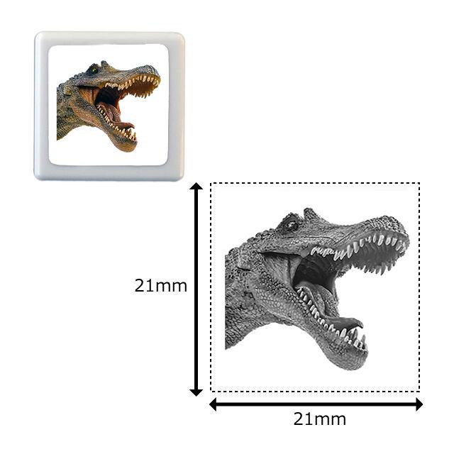 Photograph stamp / dinosaur -spinosaurus-