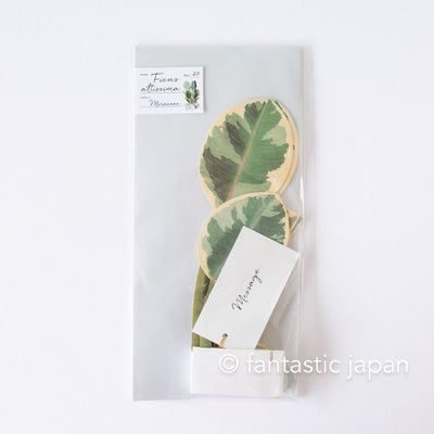 Greeting card/ Blooming card -ficus altissima-