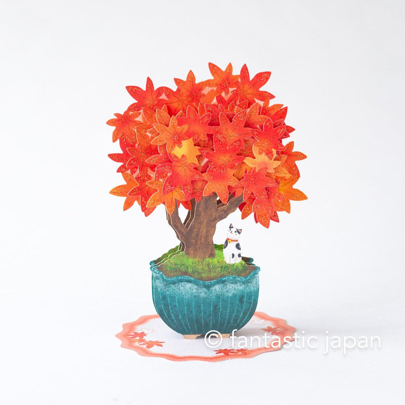 Greeting card  /Cat on red leaves bonsai / hallmark 3d card