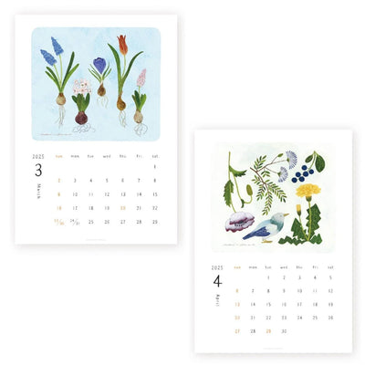 Asano Midori 2025 CALENDAR / cozyca product