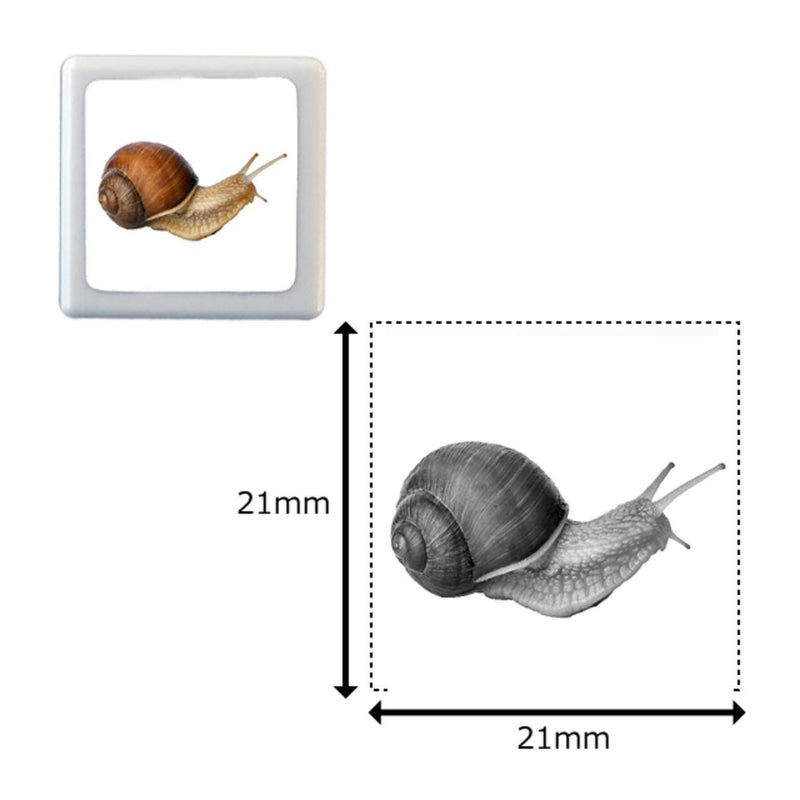 Photograph stamp -snail-