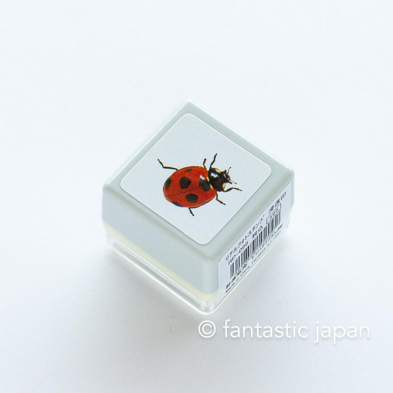 Photograph stamp -ladybug-