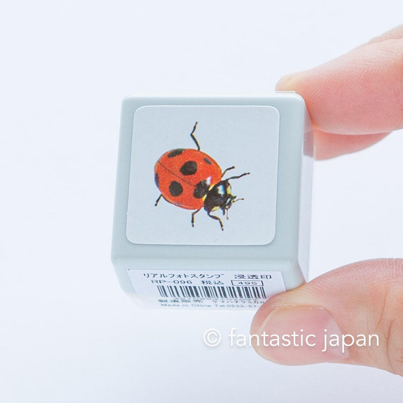 Photograph stamp -ladybug-