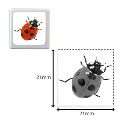 Photograph stamp -ladybug-