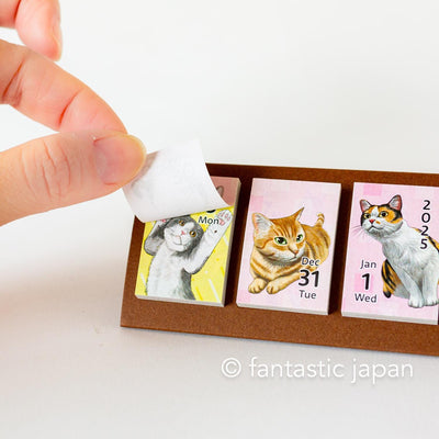 2025 himekuri Sticky notes desk calendar -cat-