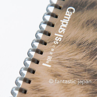 KOKUYO  / Limited Campus paw soft ring cat notebook -brown mackerel tabby-