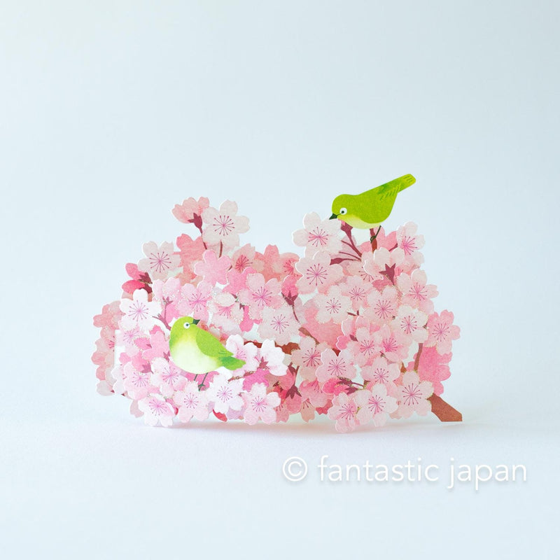 Greeting card -Warbling White-eye in the Cherry blossoms-