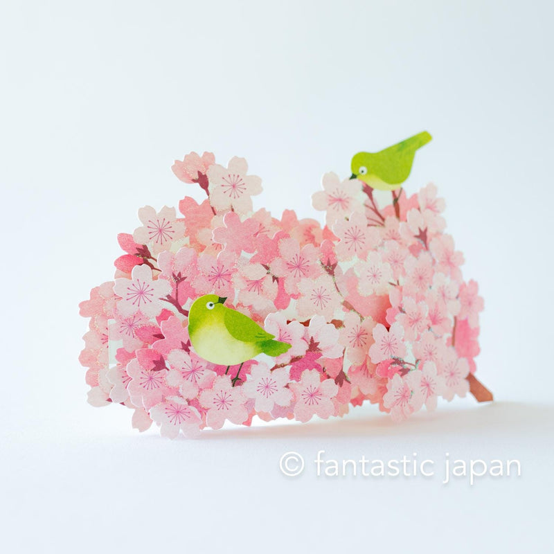 Greeting card -Warbling White-eye in the Cherry blossoms-