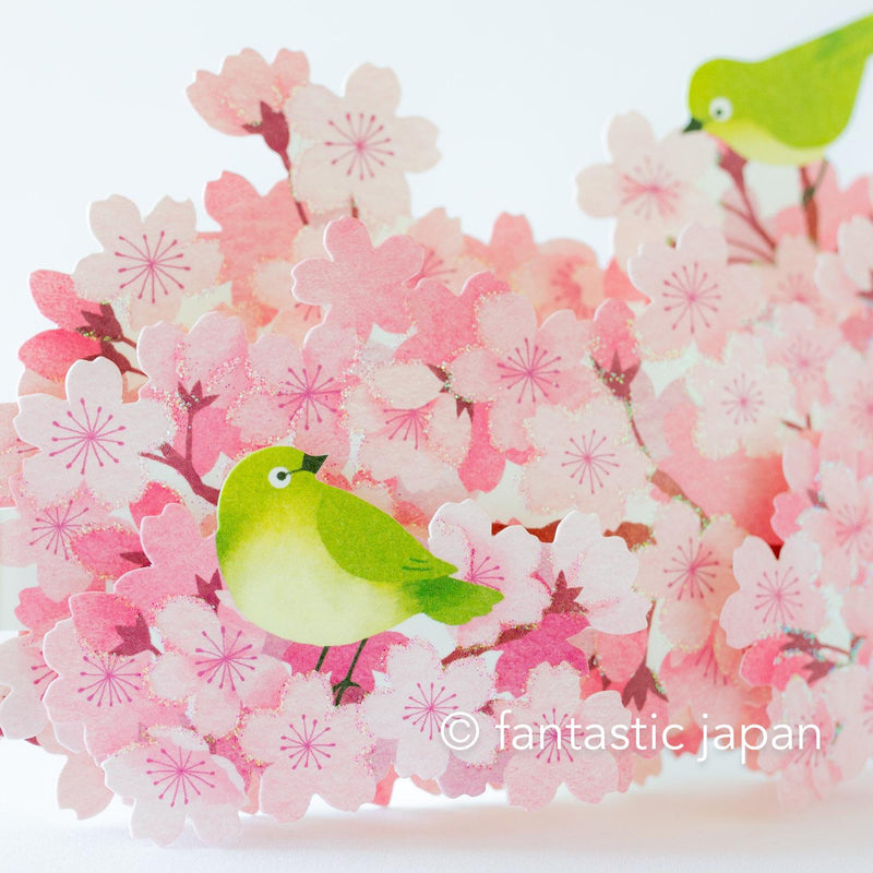 Greeting card -Warbling White-eye in the Cherry blossoms-