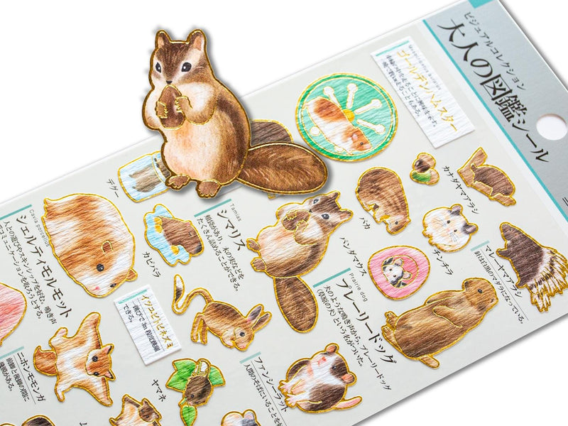 Gold foil visual collection sticker -rodent-