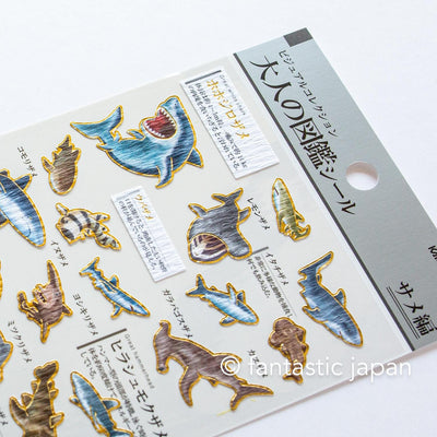 Gold foil visual collection sticker -shark-