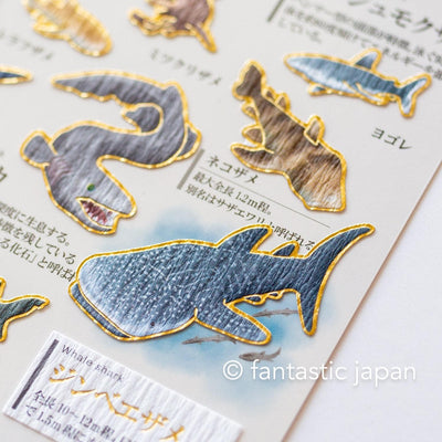 Gold foil visual collection sticker -shark-
