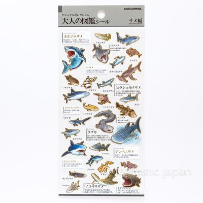 Gold foil visual collection sticker -shark-