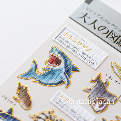 Gold foil visual collection sticker -shark-