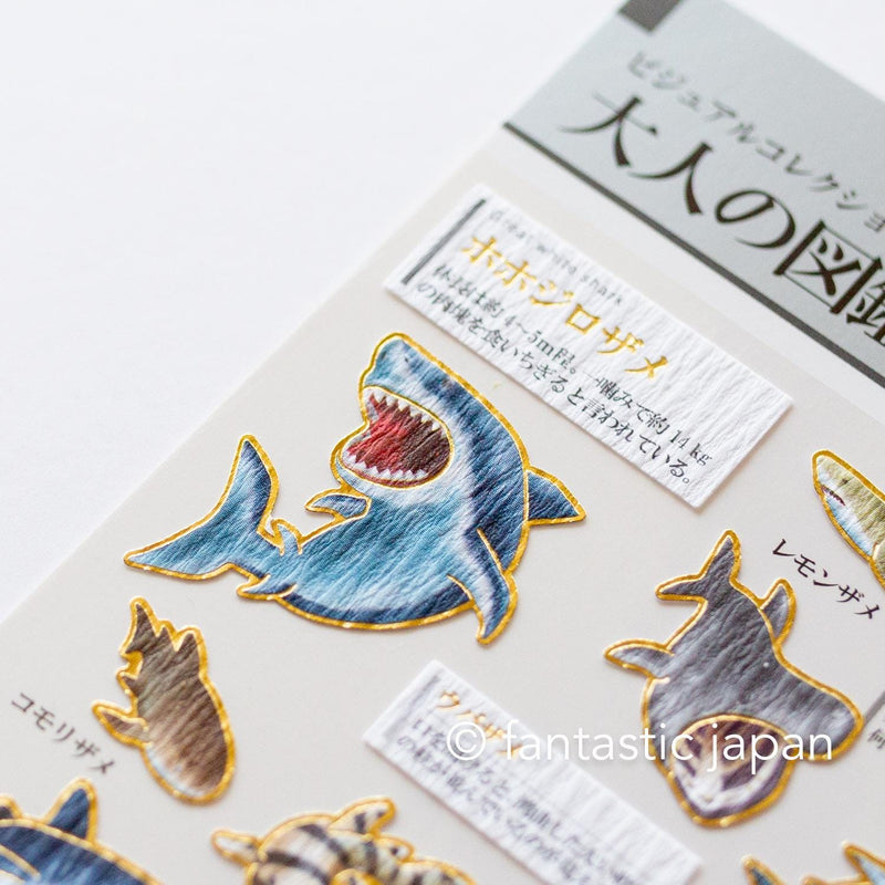 Gold foil visual collection sticker -shark-