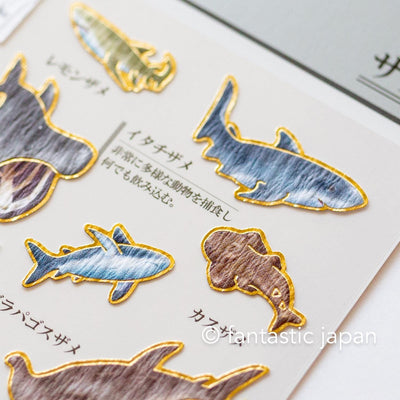 Gold foil visual collection sticker -shark-