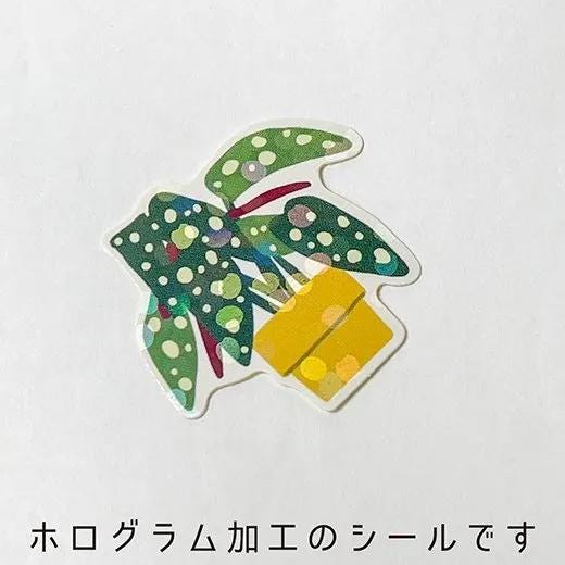 Die-cut hologram flake stickers in a tiny delivery box -green-