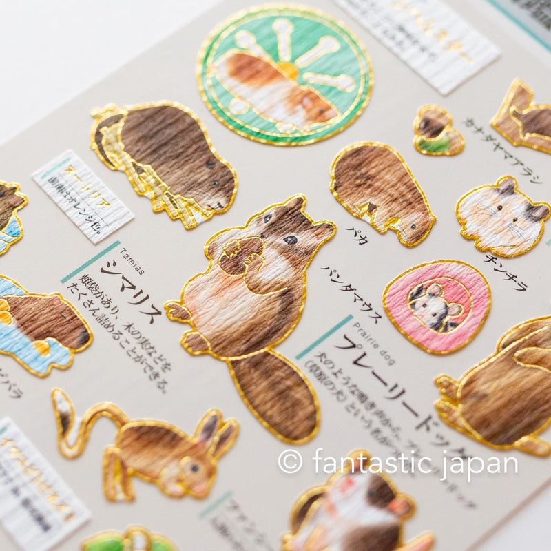 Gold foil visual collection sticker -rodent-